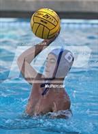 Photo from the gallery "Carlmont @ Hillsdale"