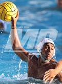 Photo from the gallery "Carlmont @ Hillsdale"