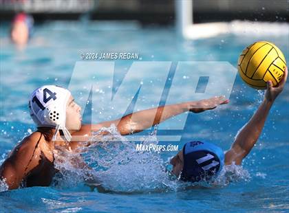 Thumbnail 3 in Carlmont @ Hillsdale photogallery.