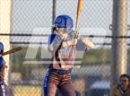 Photo from the gallery "Bartlett @ Arlington"