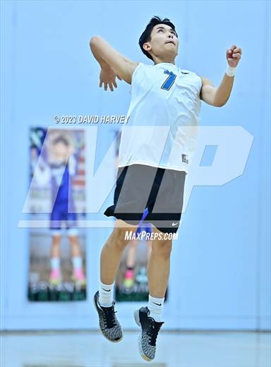 null - Photo 01