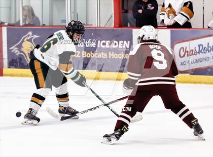 Thumbnail 2 in D1 Campo Verde vs Hamilton  photogallery.