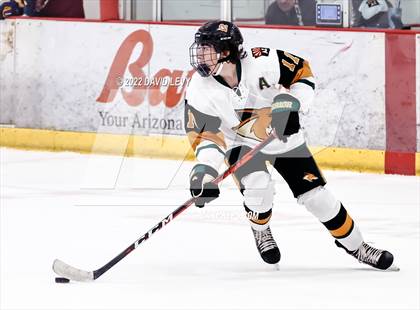 Thumbnail 2 in D1 Campo Verde vs Hamilton  photogallery.