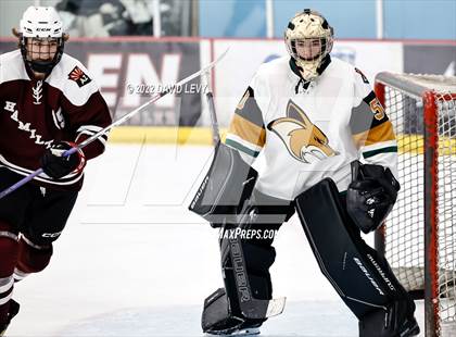 Thumbnail 1 in D1 Campo Verde vs Hamilton  photogallery.
