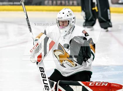 Thumbnail 2 in D1 Campo Verde vs Hamilton  photogallery.