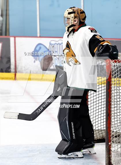 Thumbnail 1 in D1 Campo Verde vs Hamilton  photogallery.