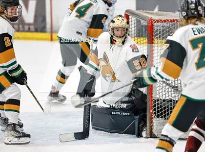 Thumbnail 3 in D1 Campo Verde vs Hamilton  photogallery.