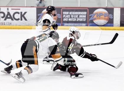 Thumbnail 1 in D1 Campo Verde vs Hamilton  photogallery.