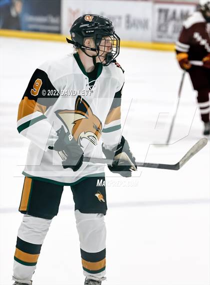 Thumbnail 1 in D1 Campo Verde vs Hamilton  photogallery.