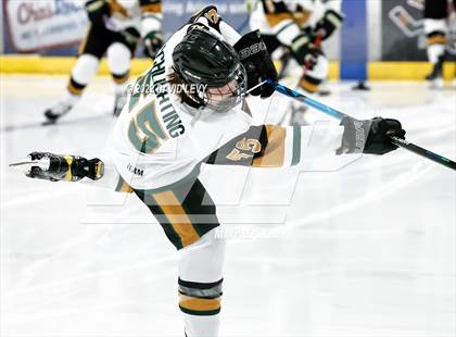 Thumbnail 1 in D1 Campo Verde vs Hamilton  photogallery.