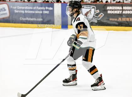 Thumbnail 3 in D1 Campo Verde vs Hamilton  photogallery.