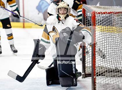 Thumbnail 1 in D1 Campo Verde vs Hamilton  photogallery.