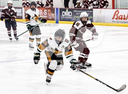 Thumbnail 2 in D1 Campo Verde vs Hamilton  photogallery.