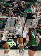 Photo from the gallery "Pendleton Heights @ Westfield"
