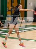 Photo from the gallery "Pendleton Heights @ Westfield"