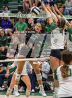 Photo from the gallery "Pendleton Heights @ Westfield"