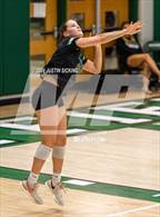 Photo from the gallery "Pendleton Heights @ Westfield"