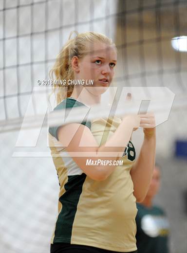 null - Photo 11