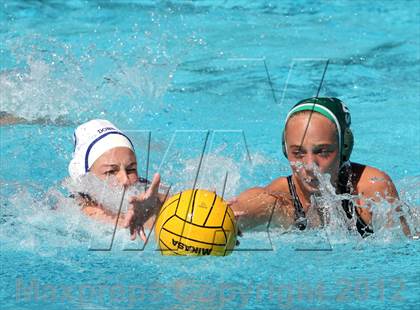 Thumbnail 1 in Miramonte @ Acalanes (Acalanes Invitational) photogallery.
