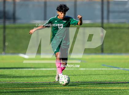 Thumbnail 1 in Hartford Public vs Northwest Catholic (U St. Joseph) photogallery.