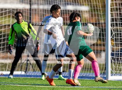 Thumbnail 3 in Hartford Public vs Northwest Catholic (U St. Joseph) photogallery.