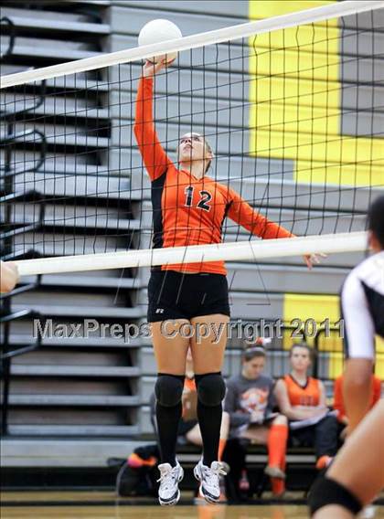 Thumbnail 2 in Kemp @ Crandall photogallery.