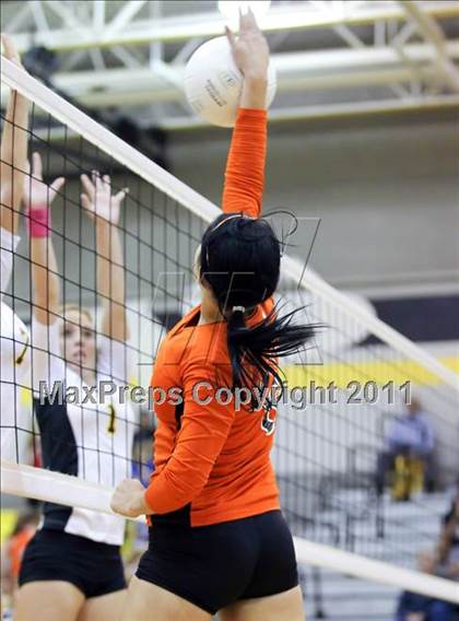 Thumbnail 1 in Kemp @ Crandall photogallery.