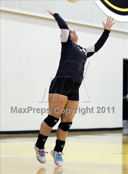 Thumbnail 1 in Kemp @ Crandall photogallery.