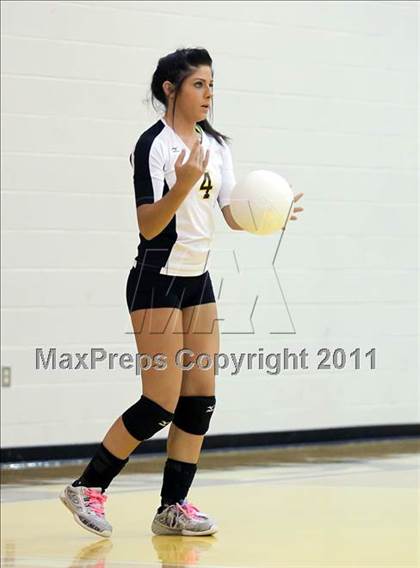 Thumbnail 1 in Kemp @ Crandall photogallery.