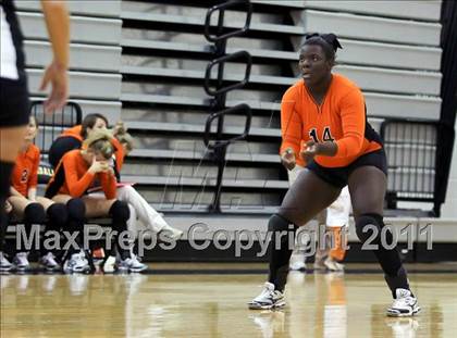 Thumbnail 1 in Kemp @ Crandall photogallery.