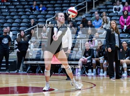 Thumbnail 1 in Wimberley vs. Randall (UIL 4A Volleyball Division II Final) photogallery.