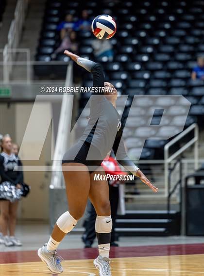 Thumbnail 1 in Wimberley vs. Randall (UIL 4A Volleyball Division II Final) photogallery.