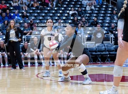 Thumbnail 1 in Wimberley vs. Randall (UIL 4A Volleyball Division II Final) photogallery.
