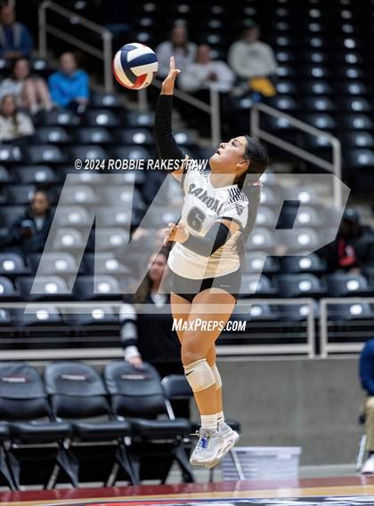 Thumbnail 3 in Wimberley vs. Randall (UIL 4A Volleyball Division II Final) photogallery.