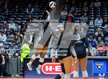 Thumbnail 3 in Wimberley vs. Randall (UIL 4A Volleyball Division II Final) photogallery.