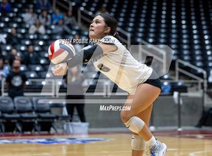 Thumbnail 1 in Wimberley vs. Randall (UIL 4A Volleyball Division II Final) photogallery.