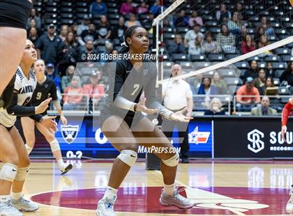 Thumbnail 2 in Wimberley vs. Randall (UIL 4A Volleyball Division II Final) photogallery.