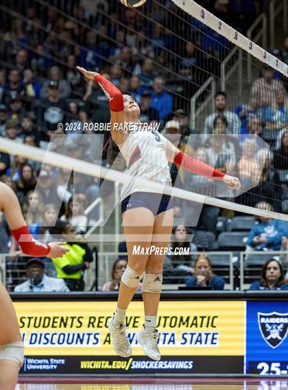 Thumbnail 1 in Wimberley vs. Randall (UIL 4A Volleyball Division II Final) photogallery.