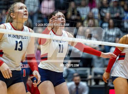 Thumbnail 1 in Wimberley vs. Randall (UIL 4A Volleyball Division II Final) photogallery.