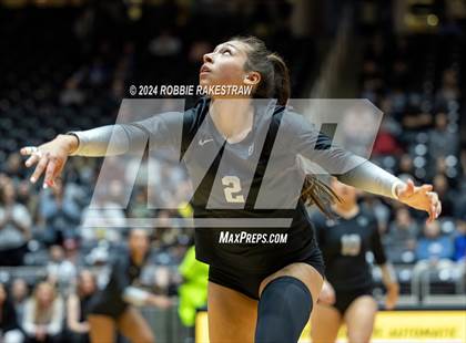 Thumbnail 2 in Wimberley vs. Randall (UIL 4A Volleyball Division II Final) photogallery.