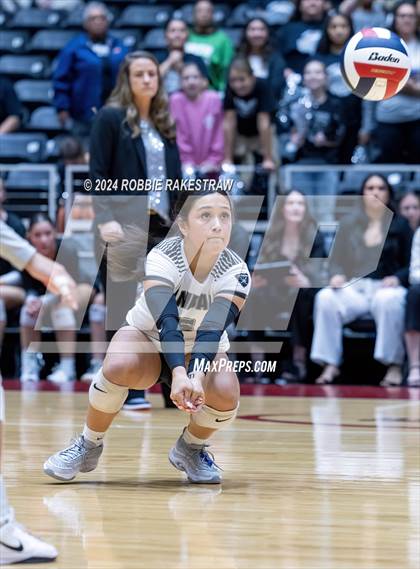 Thumbnail 1 in Wimberley vs. Randall (UIL 4A Volleyball Division II Final) photogallery.