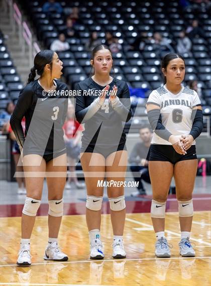 Thumbnail 3 in Wimberley vs. Randall (UIL 4A Volleyball Division II Final) photogallery.