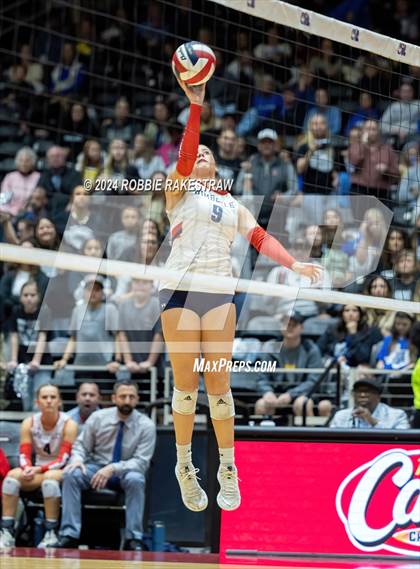 Thumbnail 2 in Wimberley vs. Randall (UIL 4A Volleyball Division II Final) photogallery.