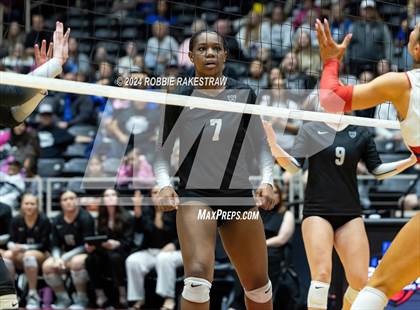 Thumbnail 3 in Wimberley vs. Randall (UIL 4A Volleyball Division II Final) photogallery.