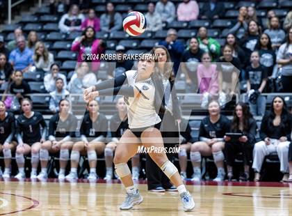 Thumbnail 1 in Wimberley vs. Randall (UIL 4A Volleyball Division II Final) photogallery.