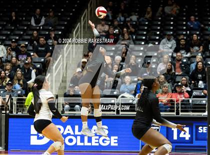 Thumbnail 1 in Wimberley vs. Randall (UIL 4A Volleyball Division II Final) photogallery.