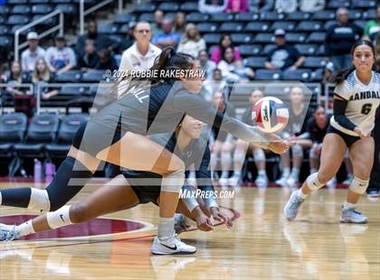 Thumbnail 3 in Wimberley vs. Randall (UIL 4A Volleyball Division II Final) photogallery.
