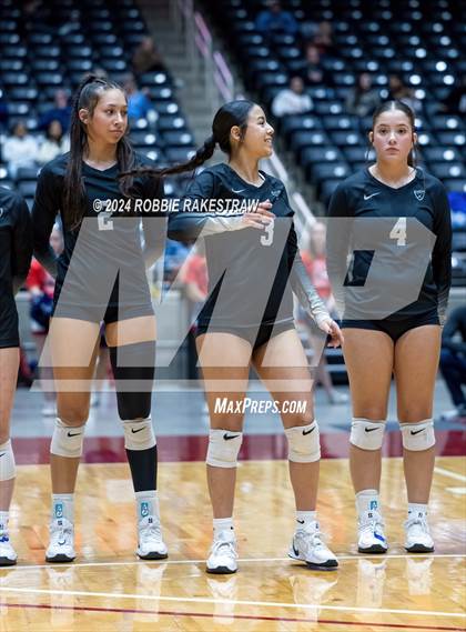 Thumbnail 2 in Wimberley vs. Randall (UIL 4A Volleyball Division II Final) photogallery.