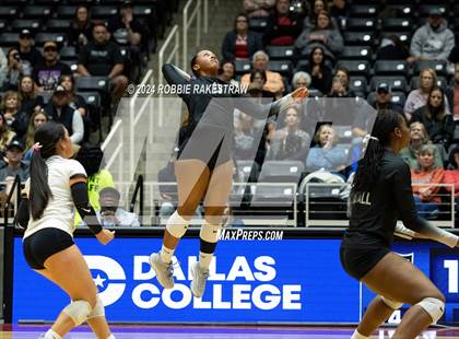 Thumbnail 3 in Wimberley vs. Randall (UIL 4A Volleyball Division II Final) photogallery.