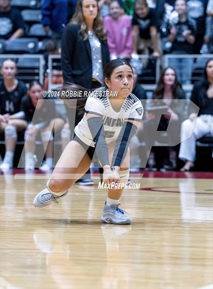 Thumbnail 3 in Wimberley vs. Randall (UIL 4A Volleyball Division II Final) photogallery.